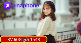 Đăng ký gói cước 60G Vinaphone tặng 2GB/ ngày với giá 50k/ tháng