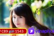 Hướng dẫn chi tiết gói cước C89 Vinaphone gọi thoải mái chỉ 89.000đ