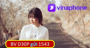 Thoải mái truy cập mạng và gọi thoại với đăng ký gói cước D30P Vinaphone chỉ 90.000đ