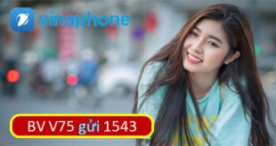 Đăng ký gói cước V75 Vinaphone ưu đãi 120 phút thoại trong nước