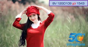 Đăng ký gói cước 12GO109 Vinaphone nhận 60GB mỗi tháng trong suốt cả năm