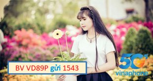 Gói cước nào rẻ nhất của nhà mạng Vinaphone????