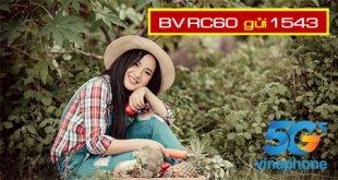 Chi tiết gói cước RC60 Vinaphone để lướt web, gọi điện thoải mái tại nước ngoài