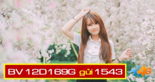 Đăng ký gói cước 12D169G Vinaphone nhận 2.520GB data kèm 25.800 phút gọi