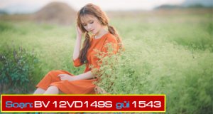 Đăng ký gói cước 12VD149S Vinaphone miễn phí data, phút thoại, sms sử dụng liên tục 12 tháng
