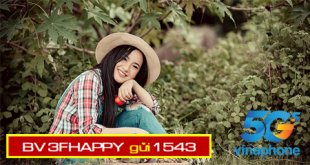 Chi tiết gói cước 3FHAPPY Vinaphone gọi nội mạng thả ga suốt 3 tháng
