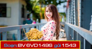 Tham gia gói cước 6VD149S Vinaphone ưu đãi 6GB mỗi ngày sử dụng liên tục 6 tháng