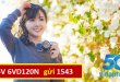 Đăng ký gói cước 6VD120N Vinaphone free phút gọi- data thả ga suốt 6 tháng
