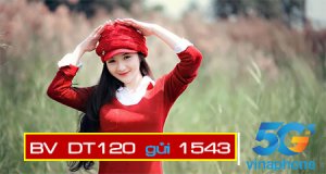 Đăng ký gói cước DT120 Vinaphone ưu đãi 20GB dùng cả tháng