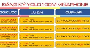 Cách đăng ký gói cước 1YOLO100M Vinaphone nhận 30GB- free data MyTV liên tục 1 tháng