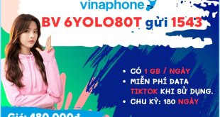 Đăng ký gói cước 6YOLO80T Vinaphone nhận 180GB data kèm tiện ích