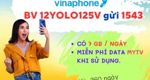 Cách đăng ký nhanh gói cước 12YOLO125V Vinaphone siêu ưu đãi