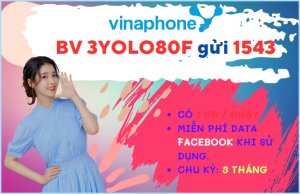 Đăng ký gói cước 3YOLO80F Vinaphone chỉ 240k dùng data thả ga 3 tháng