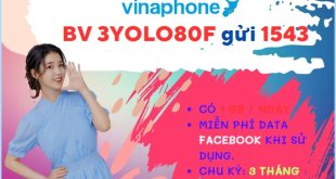 Đăng ký gói cước 3YOLO80F Vinaphone chỉ 240k dùng data thả ga 3 tháng