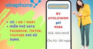 Cách đăng ký gói cước 6YOLO100M Vinaphone với ưu đãi tới 6 tháng Thả Ga