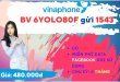 Đăng ký gói cước 6YOLO80F Vinaphone chỉ 480k online thả ga nửa năm