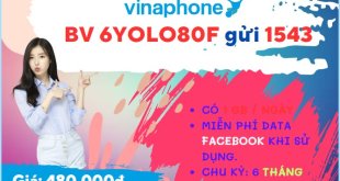 Đăng ký gói cước 6YOLO80F Vinaphone chỉ 480k online thả ga nửa năm
