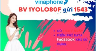 Đăng ký gói cước YOLO80F Vinaphone dùng data giá rẻ 30 ngày