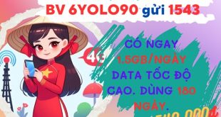 Đăng ký gói cước 6YOLO90 Vinaphone ưu đãi tới 6 tháng liên tục