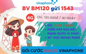 Đăng ký gói cước BM120 Vinaphone: Thoải mái sử dụng data, gọi điện chỉ với 120.000đ/tháng!