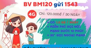 Đăng ký gói cước BM120 Vinaphone: Thoải mái sử dụng data, gọi điện chỉ với 120.000đ/tháng!