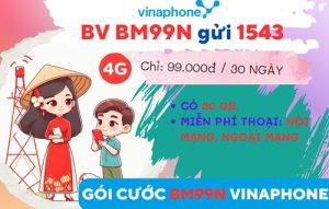 Cách đăng ký gói cước BM99N Vinaphone ưu đãi combo
