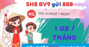 Gói cước SH8 Vinaphone nhận 1GB- kèm ưu đãi free data truy cập Sendo chỉ với 8K/ngày