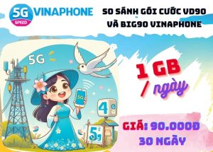 So sánh chi tiết gói cước VD90 và BIG90 Vinaphone: Nên chọn gói nào?