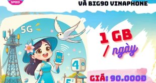 So sánh chi tiết gói cước VD90 và BIG90 Vinaphone: Nên chọn gói nào?