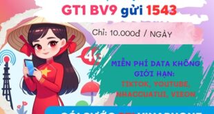 Đăng ký gói cước GT1 Vinaphone truy cập Tiktok, Youtube, VieOn, Nhaccuatui giá rẻ cả ngày