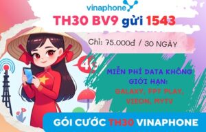 Gói cước TH30 Vinaphone: Miễn phí Data truy cập các ứng dụng Galaxy, FPT Play, VieON, MyTV
